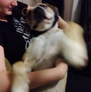 Meet your Posher, Cristina